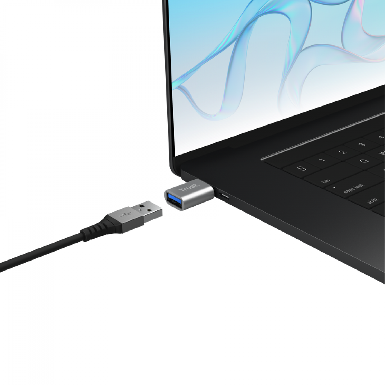 accesorios_trust_calyx_cable_adaptador_usb_c_a_usb_a_2_pack - Imagen completa 3