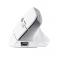 mouse_gamer_trust_bayo_ii_ergo_wireless_white - Miniatura 6