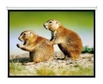 pantalla_intelaid_proyector_120_pulgadas_colgante_it_sps120 - Miniatura 1