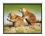pantalla_intelaid_proyector_86_pulgadas_colgante_it_sps86 - Miniatura 2
