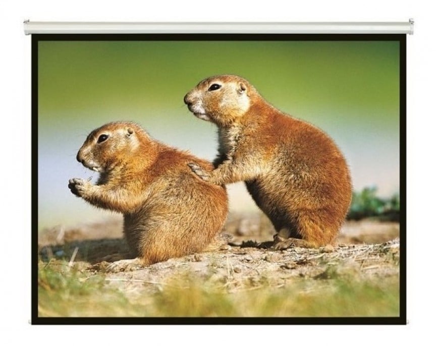 pantalla_intelaid_proyector_86_pulgadas_colgante_it_sps86 - Imagen 2