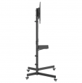 soporte_intelaid_tv_movil_en_acero_regulable_en_altura_estante_it_smt - Miniatura 3