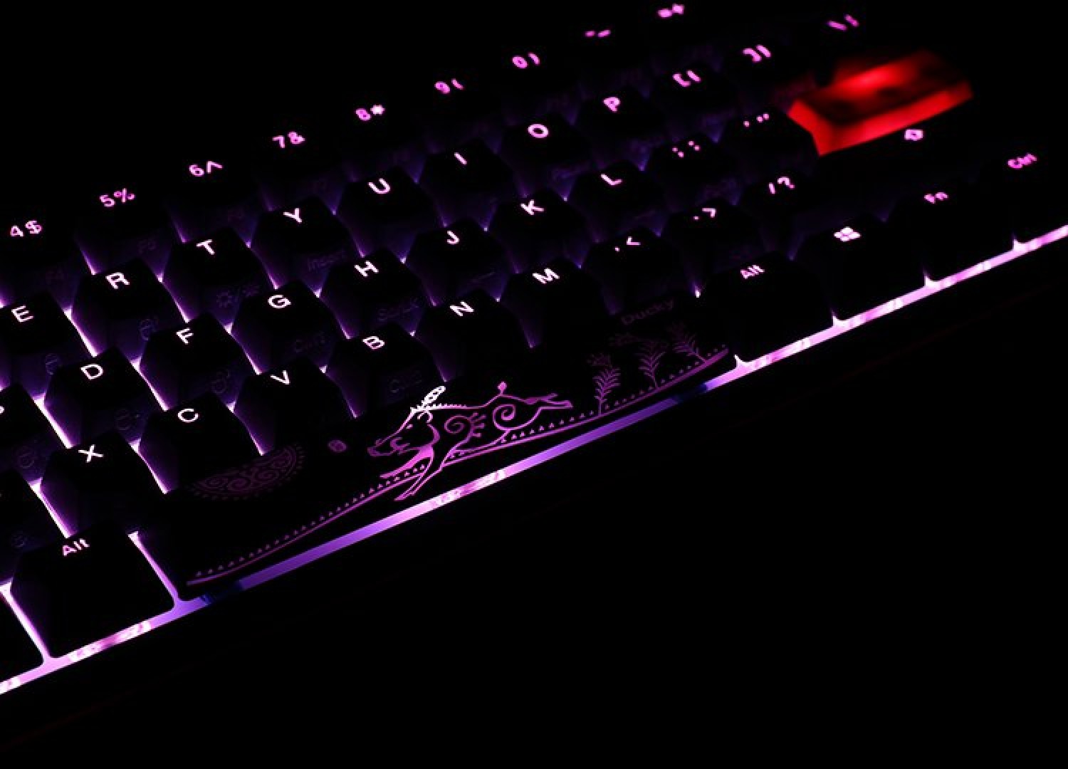 teclado_gamer_ducky_one_2_mini_rgb_kailh_box_brown_swicht_double_shot_pbt_mecanico - Imagen completa 6
