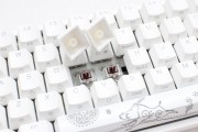 teclado_gamer_ducky_one_2_sf_rgb_white_cherry_mx_blue_double_shot_pbt_mecanico - Miniatura 6